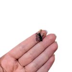 پلاک Y پروانه ای