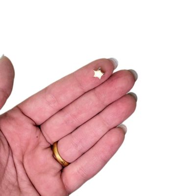 پلاک ستاره ریلی